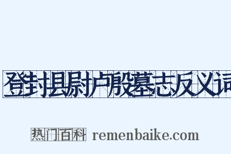 登封县尉卢殷墓志反义词是什么意思的图片